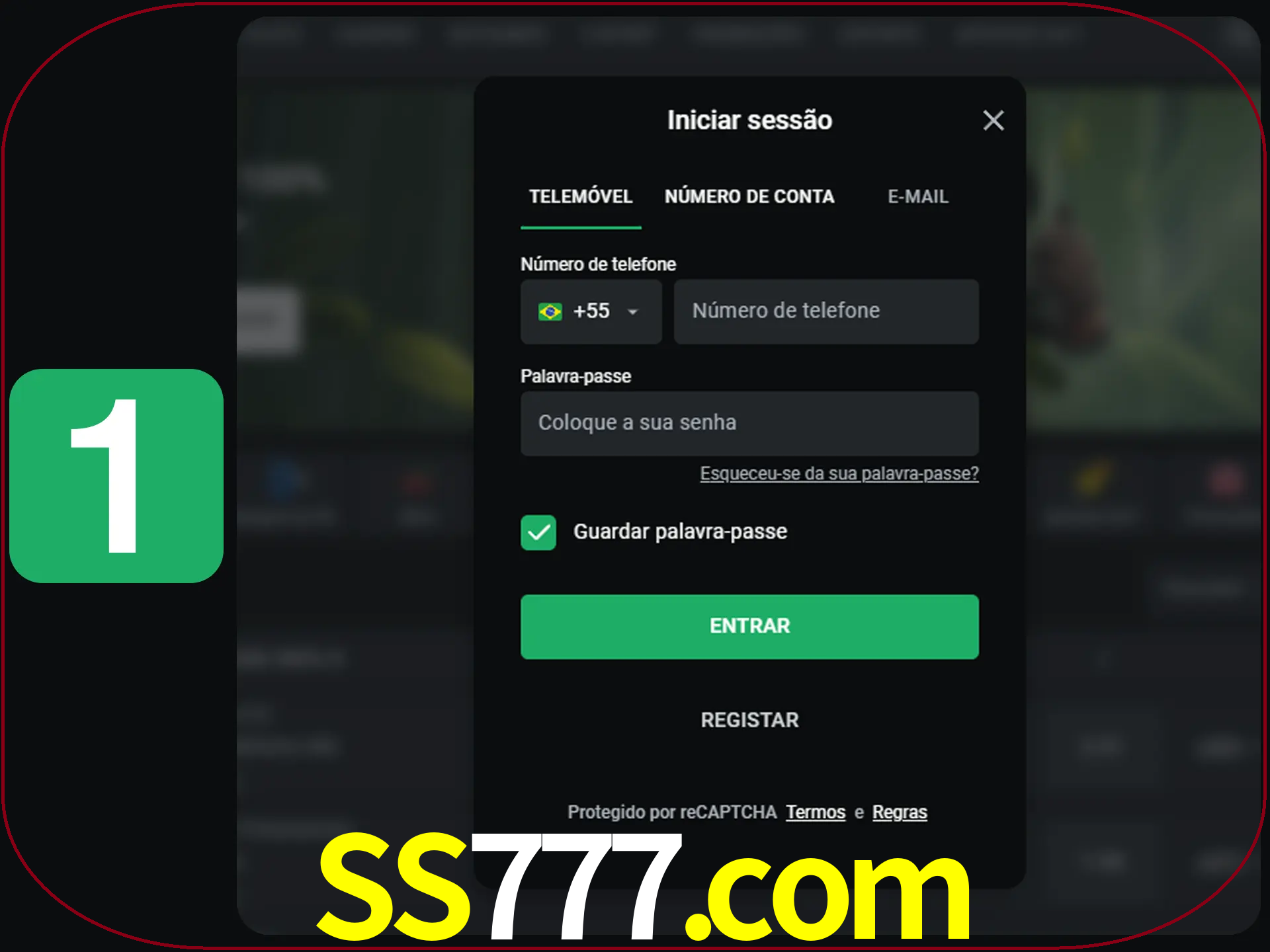 Clique no botão Entrar.